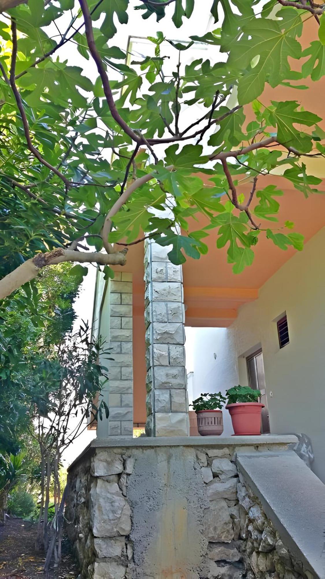 Cozy Apartments Danica Novalja - Ground Floor Exterior photo
